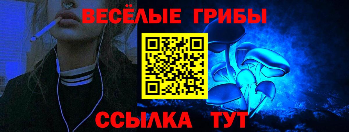 Керчь  Псилоцибиновые грибы Cubensis  Вход с VPN 
